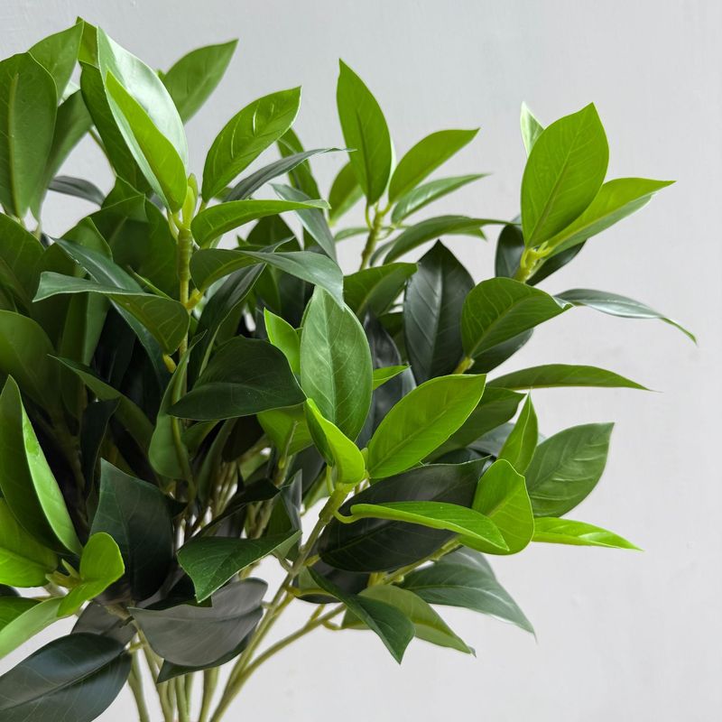 仿真柠檬叶 桔叶 桂花月桂叶 茶树叶 手感叶子植物造景树装饰家居|undefined