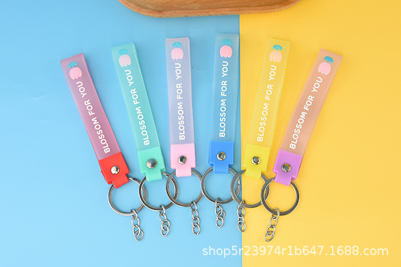 apple key chain