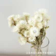 ʯɻMyѩ߶Ȼĺѩɏcb