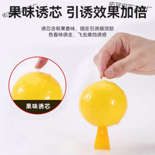 Fruit Fly Trap Small Flying Insect Killer Indoor Removal Nemesis Kitchen Midge Sticky Bug Ball Fly Trap