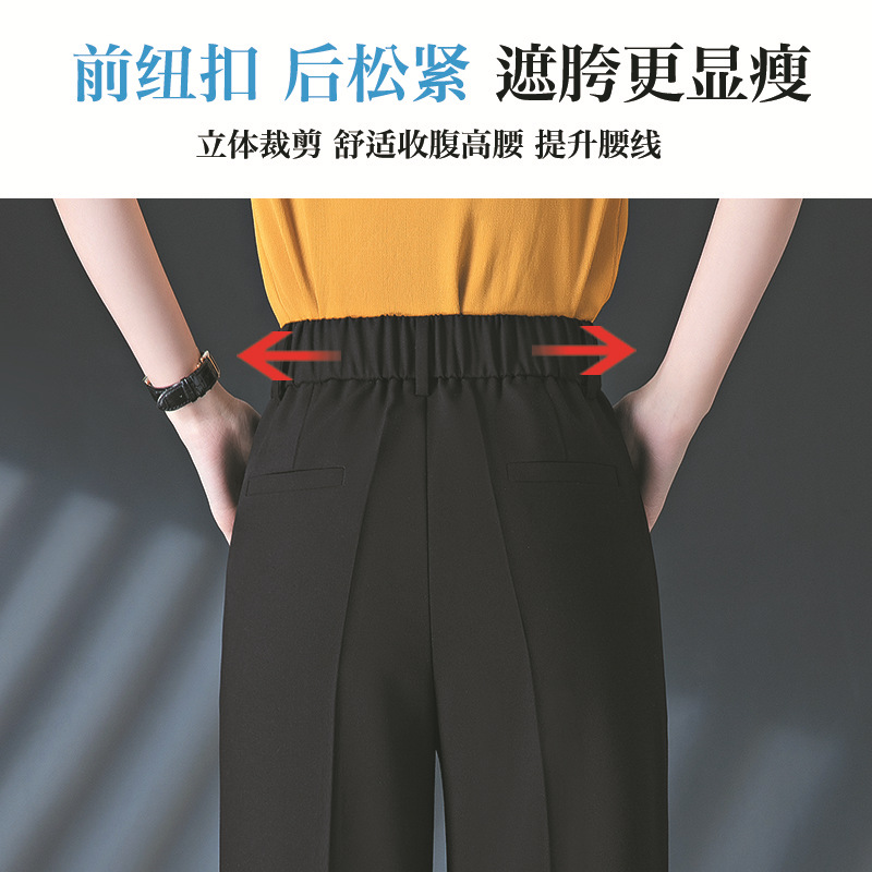 Wool Narrow Wide-leg Pants Women's High-waist 2024 Spring New All-match Loose Slim-fit Elasto Waist Pants