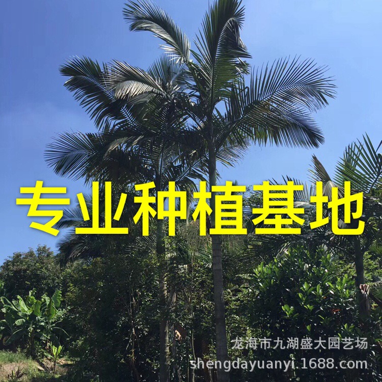 IMG_5505(20200224-234727)