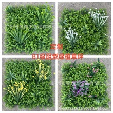 B1����ȼֲ������ƺ�҃������پGֲ����������UV�����⾀