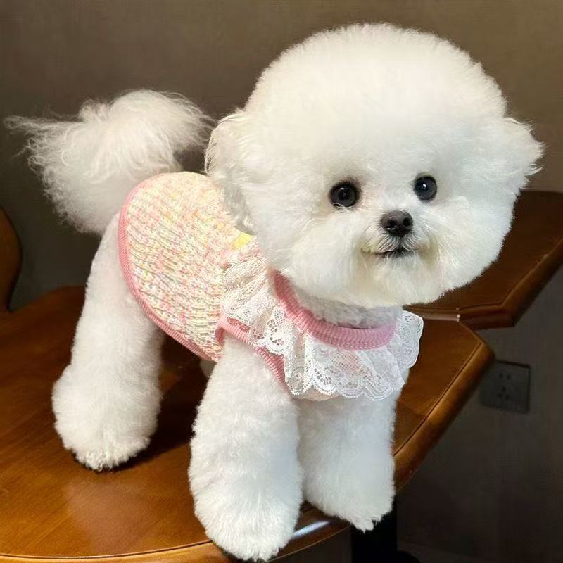 New Spring and Autumn Pet Knit Vest with Leash Attachment for Small Dogs and Cats Like Teddy, Bichon, and Yorkshire