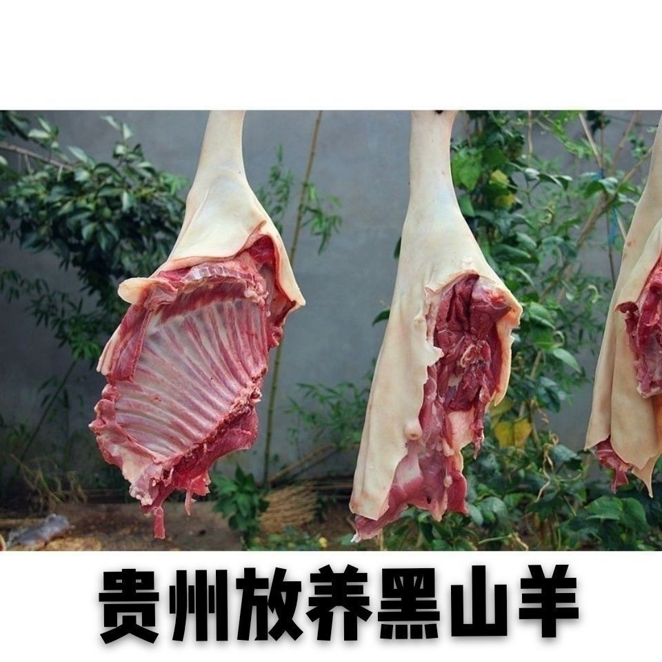 贵州羊肉放养黑山羊散养山羊肉现杀新鲜带皮羊肉羊排肉羊腿肉