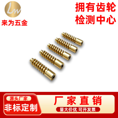 [按摩椅专用铜蜗杆现货 0.5模微型电机传动件蜗杆 非标定制加工]