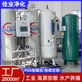PSA制氧机 高原弥散水产养殖冶金助燃分子筛工业氧气发生器