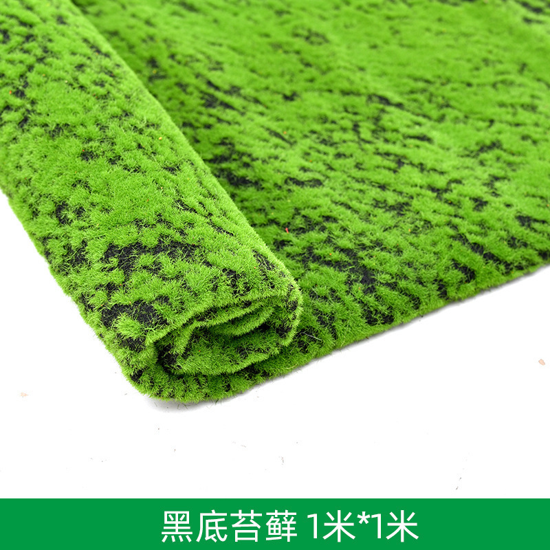 Black background moss 1*1m