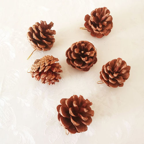 4CM Original Pine Cone 6-Pack Christmas Decorative Supplies Christmas Tree Ornaments Natural Pinecones Scene Decoration