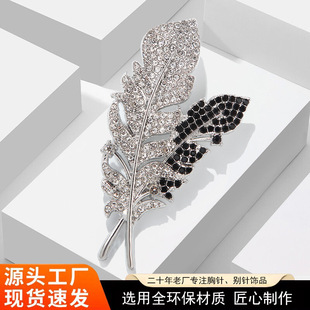 �ڰ�֮��O�����Ů�p�݃�������ë�ػ��OӋ�Єe������h�����