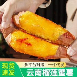 块茎类;苹果;梨