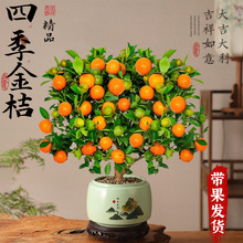 �ļ���Ƥ��ۘ������҃ȿ͏d������ʳ������ʽ�U���辰���ܾGֲ��