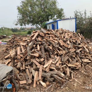 Pot firewood apple firewood fire date wood chopping firewood barbecue firewood wood bonfire fireplace firewood