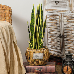 北歐仿真植物金邊虎皮蘭盆栽室內客廳辦公室落地盆景裝飾假綠植擺