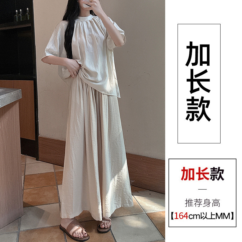 샴페인 살구 확장