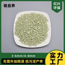 源头直供硫自养滤料污水处理脱氮除磷专用高效节能硫自养滤料