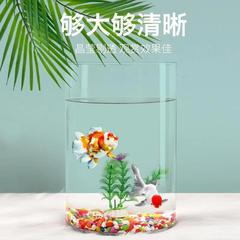 大きいサイズのガラスのまっすぐな筒の水槽の透明な円柱型のガラスの花瓶の客間の食卓の床の生態の大きい置物の造景