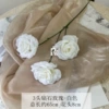 Ordinary diamond rose white