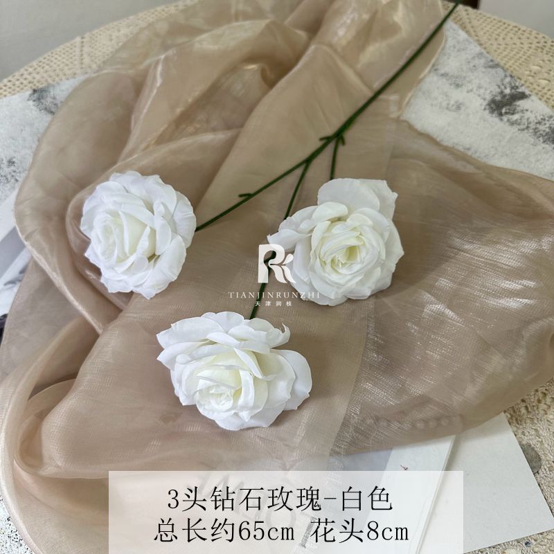 일반 다이아몬드 로즈 화이트