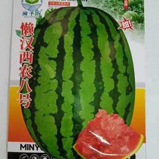 �������l���ϷN�ёНh���r��̖���ϷN�Ӵ����Nֲ�߲˷N��