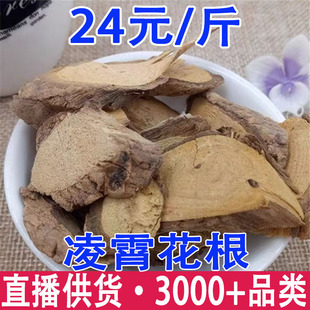 �������� ���ڸ� ���ڸ� ��ޱ�����������l���l