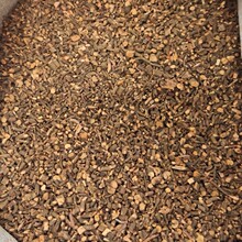 ��� ѪҊ��t�����ݸ���ș����� ���]��ĥ������ă�ș��