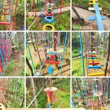 大型景区丛林穿越拓展设备厂家实拍户外儿童探险无动力游乐设施