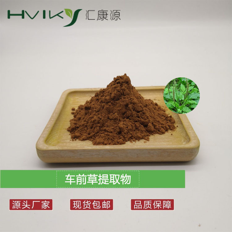 车前草提取物10：1 车前草比例提取物 水溶植物提取物 原料