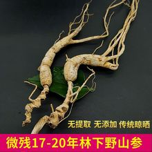 野山参林下参长白山17-20年林下野生煲汤泡酒残参