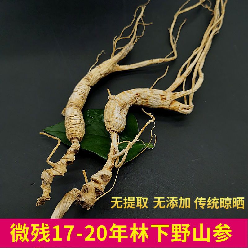 野山参林下参长白山17-20年林下野生煲汤泡酒残参