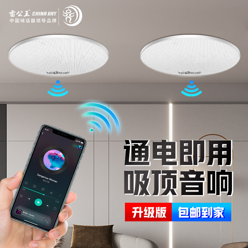Thunder King Cr-501 Ceiling Speaker Ceiling-Mounted Bluetooth Fixed-Resistance Coaxial Audio Embedded Home Bluetooth Subwoofer
