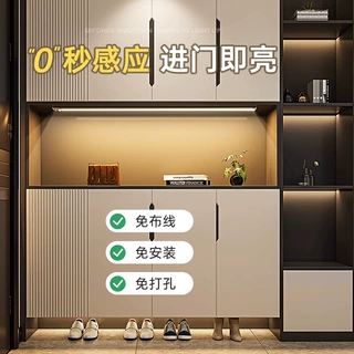 厂家直供LED嵌入式衣柜灯橱柜线条灯杜邦线感应开关变压器酒柜灯