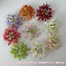 �����L���m�˰������^����ɳ�A�ٻ��^ŵ�h�����յ��߻�ˇ���