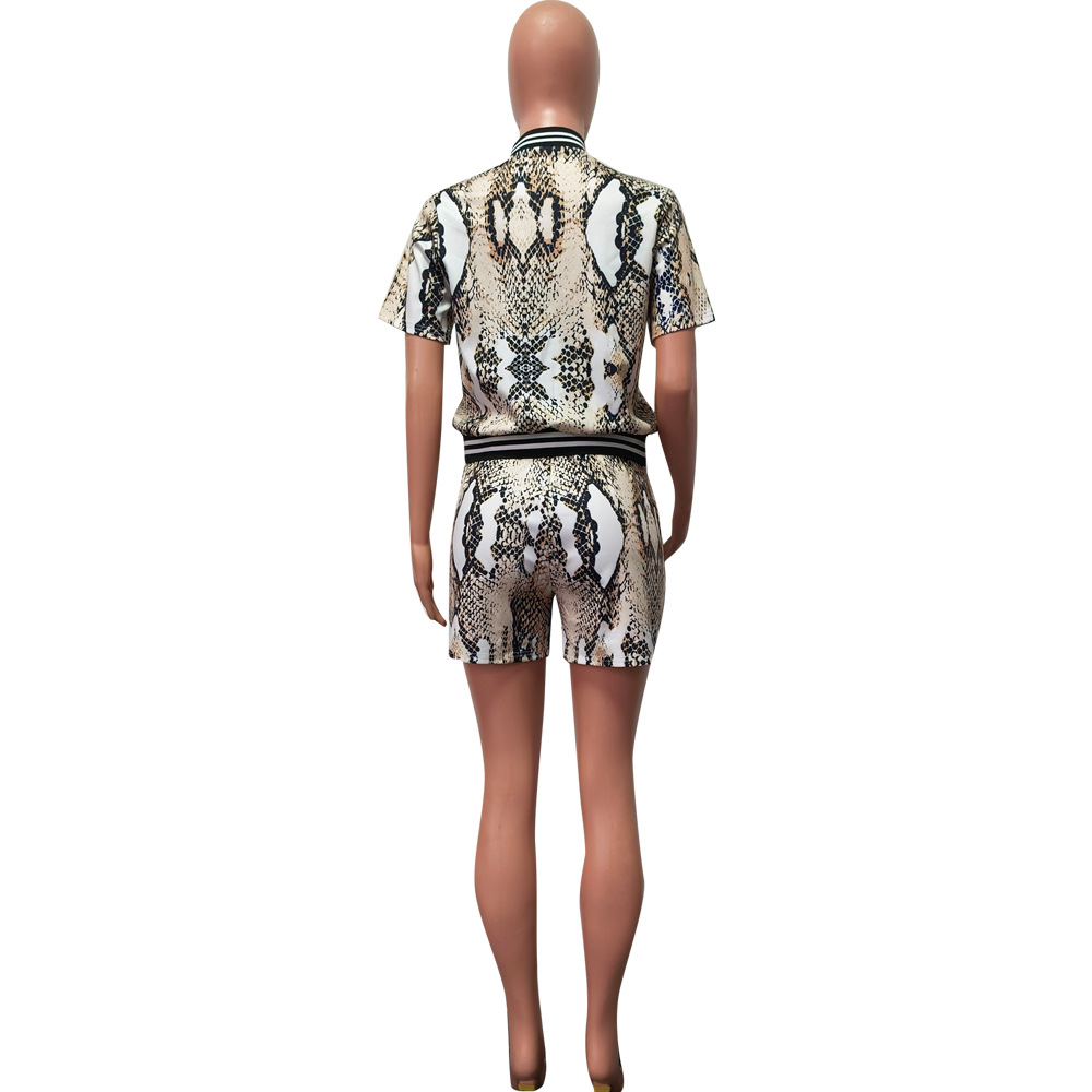 Damen Zweiteiler Set Schlangenmuster Strickjacke Und Shorts_voghion.com