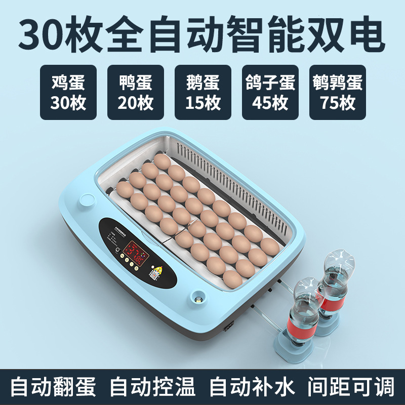 Incubadora, hogar pequeño, incubadora inteligente automática, incubadora, incubadora, loro, huevo de pájaro, pollo, pollo, pollo