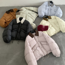 ƽ��ײɫ���I�����q�̿���q��Ů�����nϵС���ӼӺ�������¿�