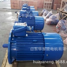 �Ƅ�Y2EJ늙C�Ƅ�YE5EJ-315L1-4-185KW늙C���Ʒ��m��A���ӹ�