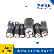 ������ʢ��ȼ�X�Ͻ���|����׃�װ��bZRC-YJLHY23 1.8/3KV 2*185