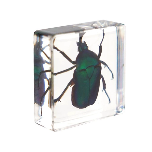 3.8cm small square hooked emerald