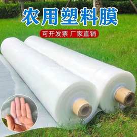 防水塑料布塑料薄膜整卷全新料加厚大棚膜透明包装防渗工程养护膜