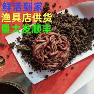 �t�����w���b����~�D���l��̖���D�ϴ����~���D�r����S���]