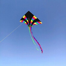 �H���L�~���l �¿��Lβ�Ų�ƴ�߲� ���w�Î����ݺڲʏS��ֱ�N