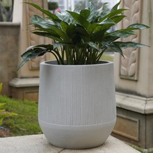 羳VAˮQyWL҃ȑͥԺֲﻨ[O