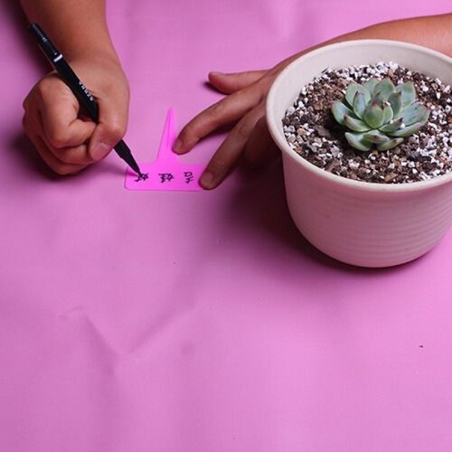 Succulent tools gardening tool set package planting gadgets gardening three-piece set spray kettle watering kettle shovel