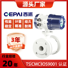 CEPAI/西派电磁流量计防腐防爆化工污水浆液矿浆低电导率流量计