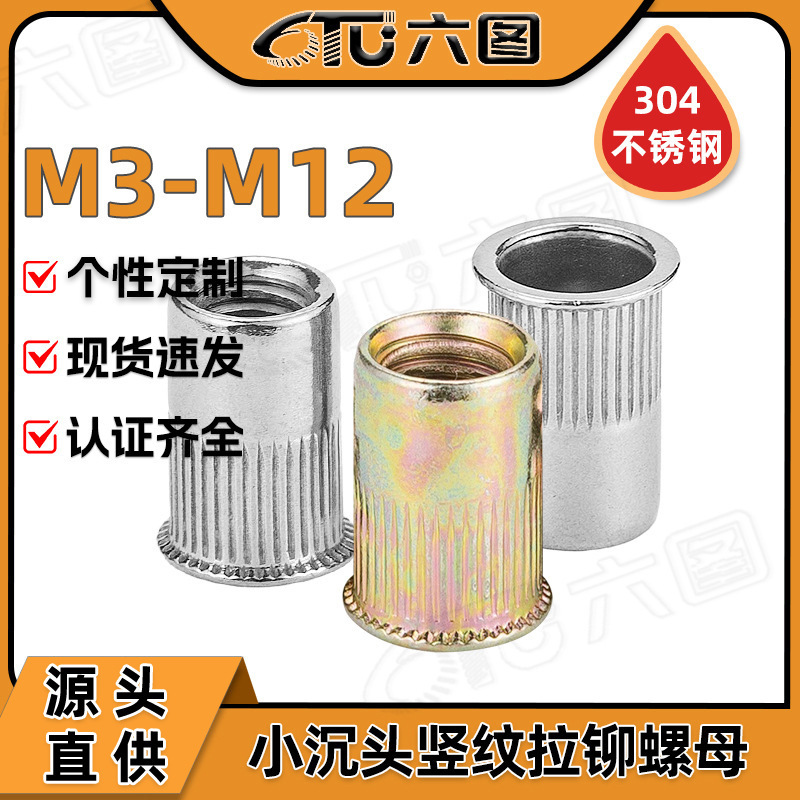 304 Stainless Steel Small Flat Head Rivet Nuts Wholesale Color Zinc Plated Rivet Screws and Nuts M3/M6/M12