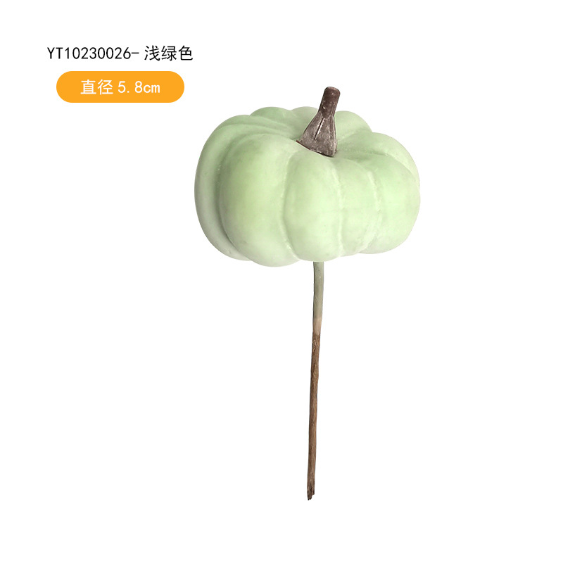 YT10230026-light 녹색 (직경 5.8cm)