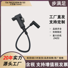 Linhai bdw-in-103 t-boss 570 m750l T3b 70822D点火线圈高压包