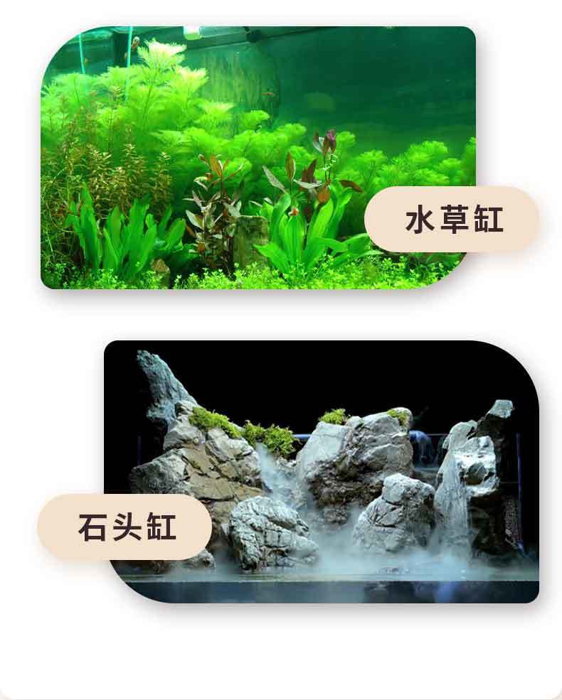 8ebb29be-5295-493b-b2fb-4c7fb9e88172.jpe