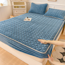 ţ�̽q�A�޴����ֶ����ӽq���ִ��|���o��2025�¿�Ӻ񴲆δ�����